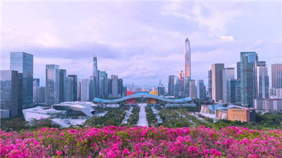 发现上海水磨论坛419的奇特之处
